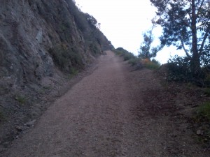 Eaton Canyon Ascent