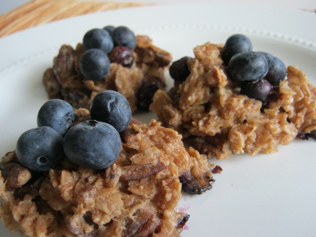 Blueberry Pecan Oatmeal Cookies 019