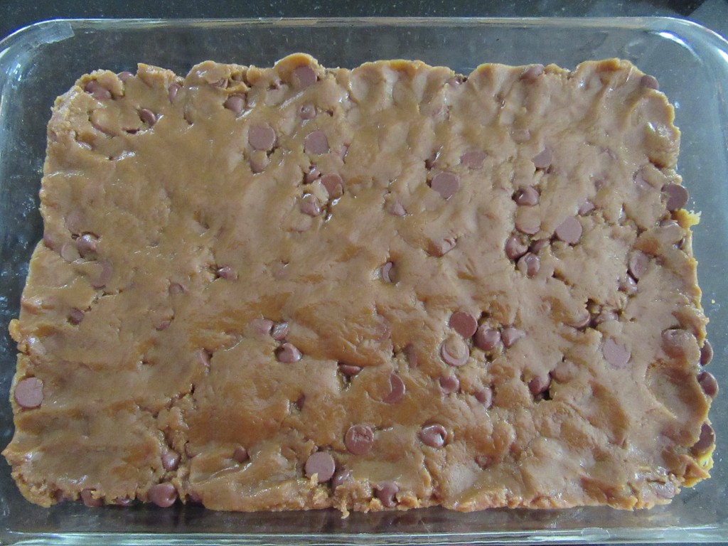 Peanut Butter and Chocolate Brownies 006