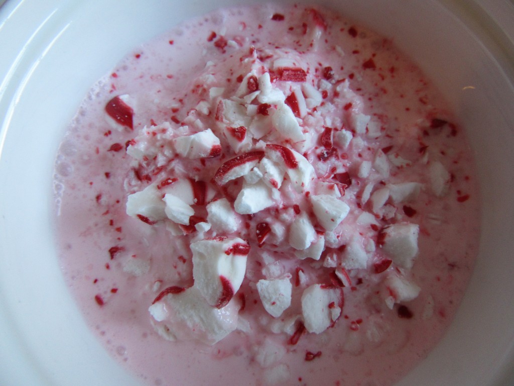 Peppermint Ice Cream 1 003