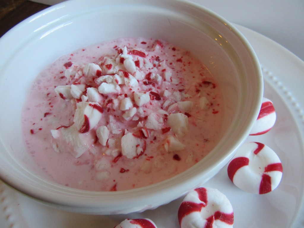 Peppermint Ice Cream 1 006