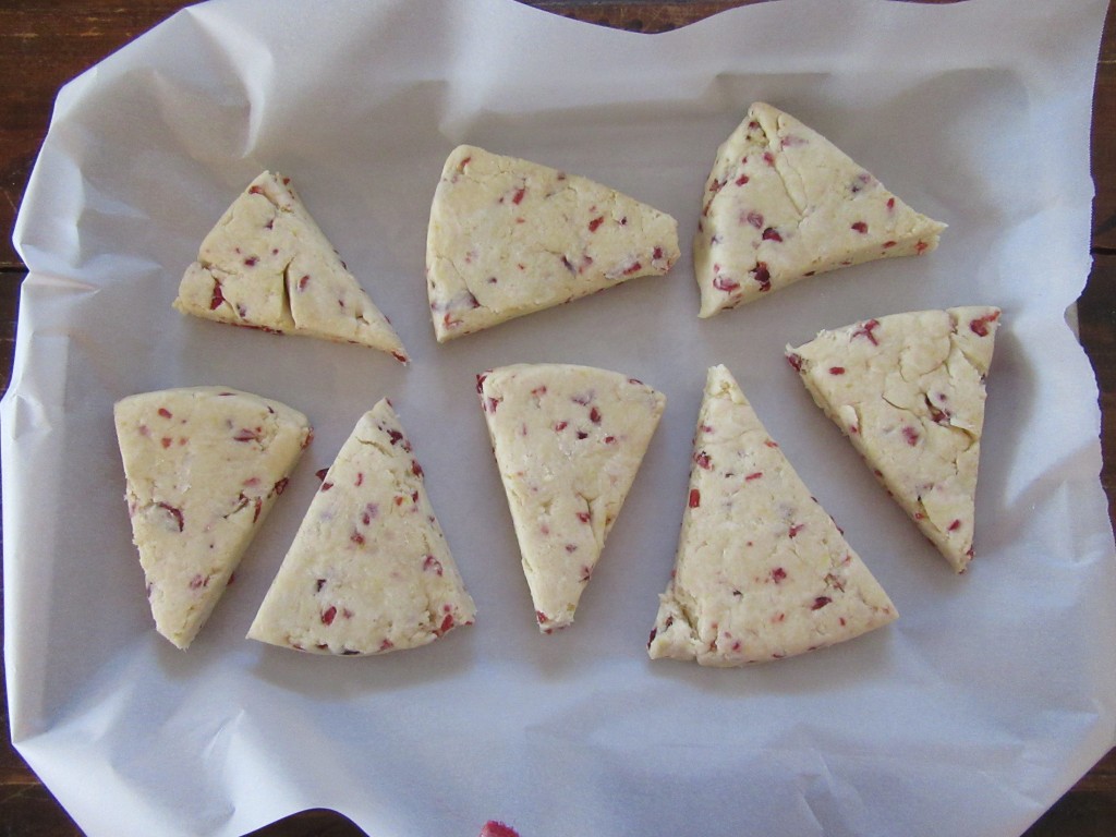 Lemon Cranberry Scones 002