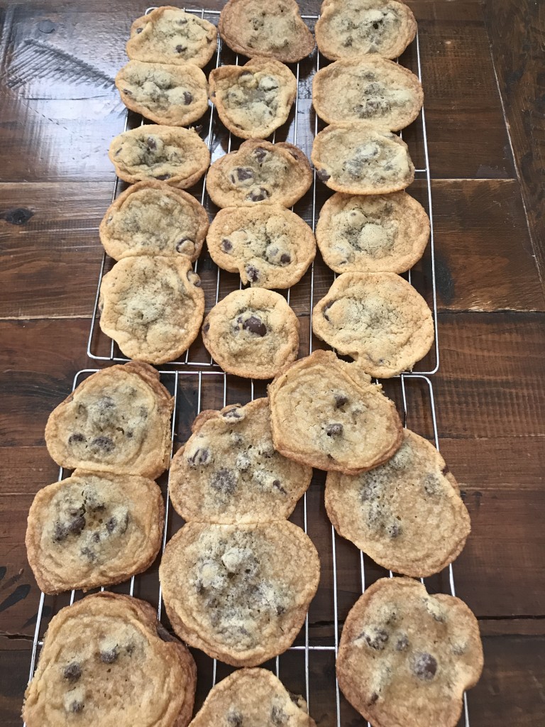 chocolate chip cookie